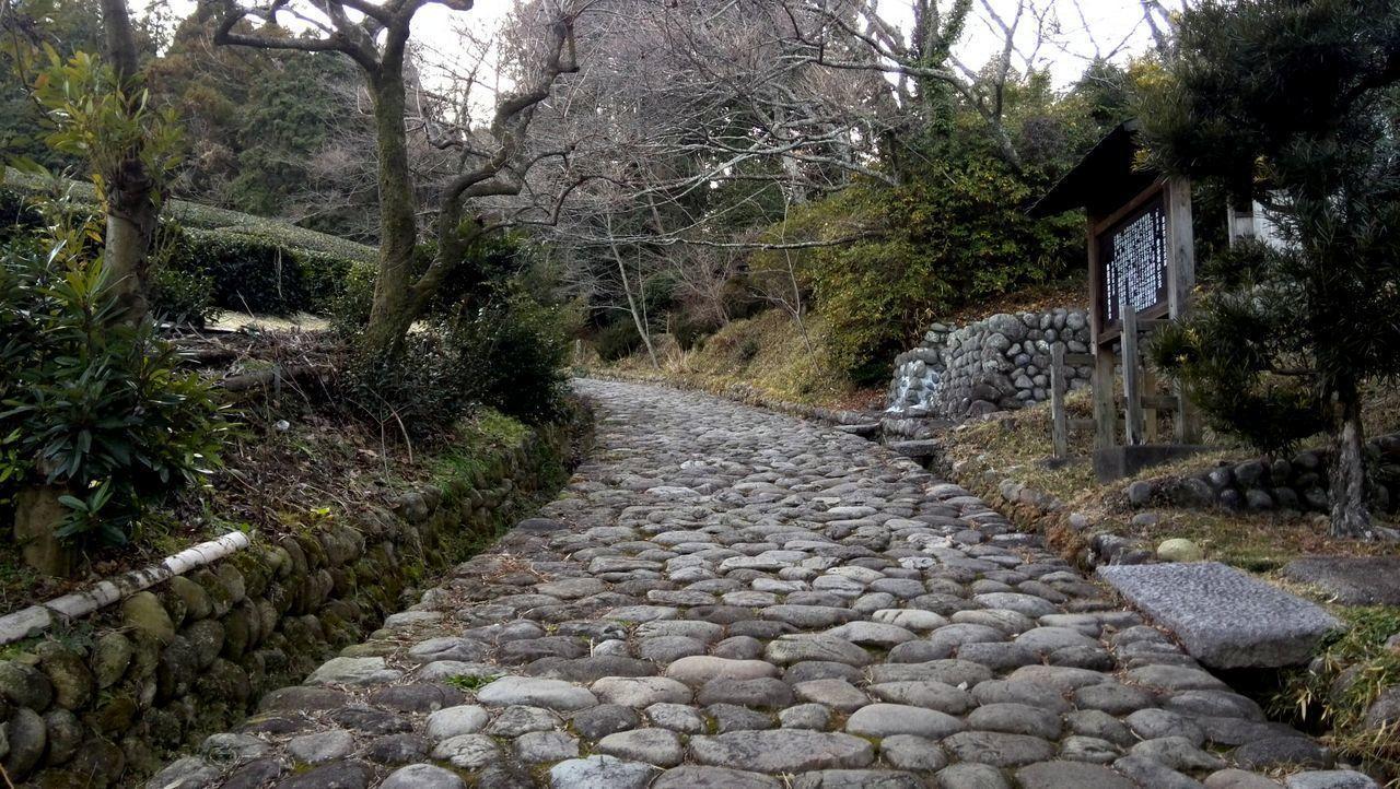 Jemsty Inn Hakone Ashinoko Екстериор снимка